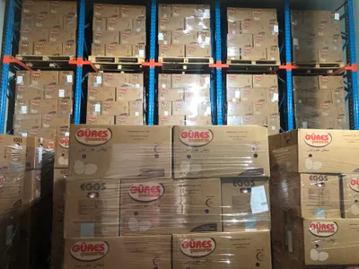 Modern cold storage facility with organized palletized goods