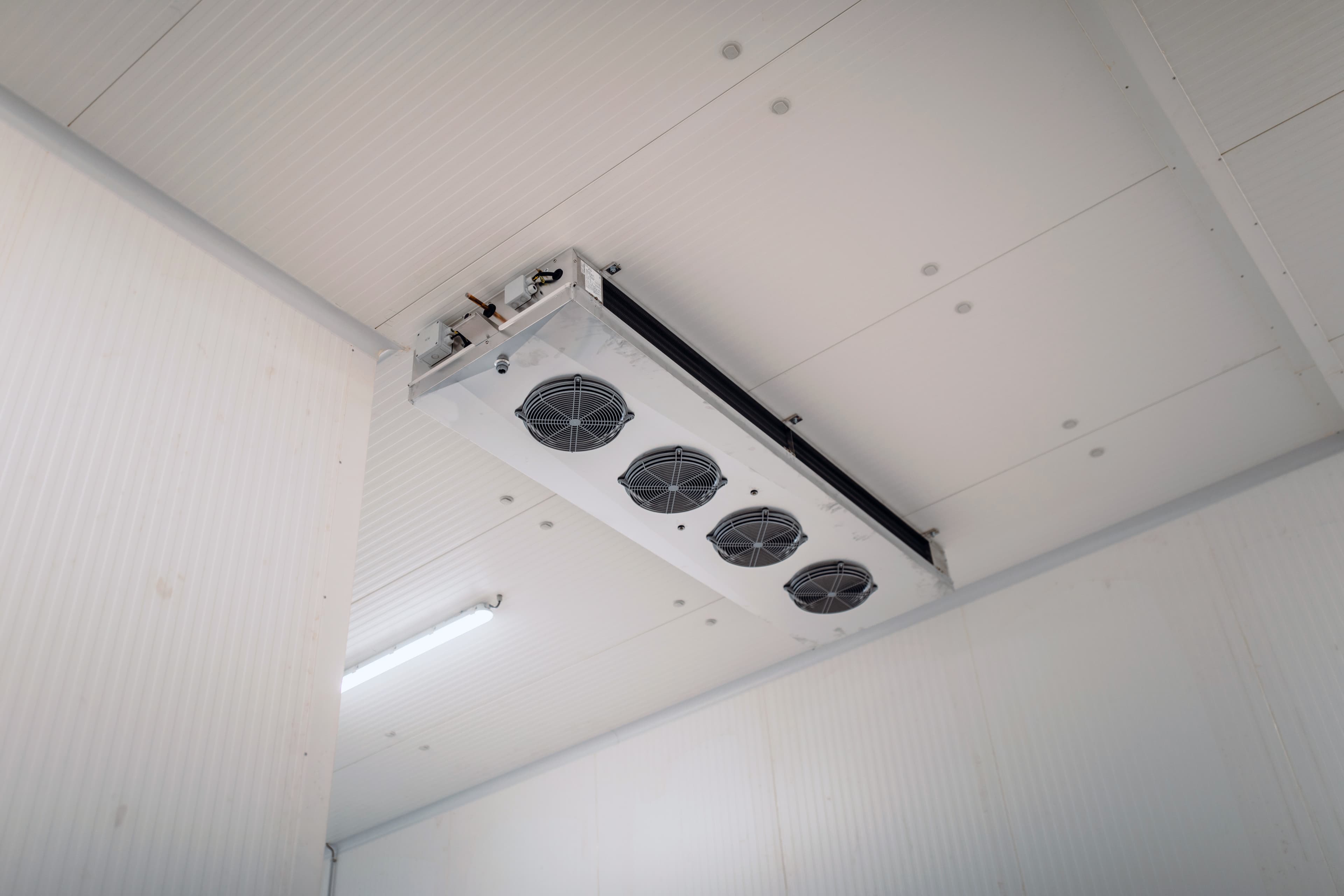 Ceiling-mounted industrial refrigeration unit with multiple fans installed in a white, ribbed ceiling environment